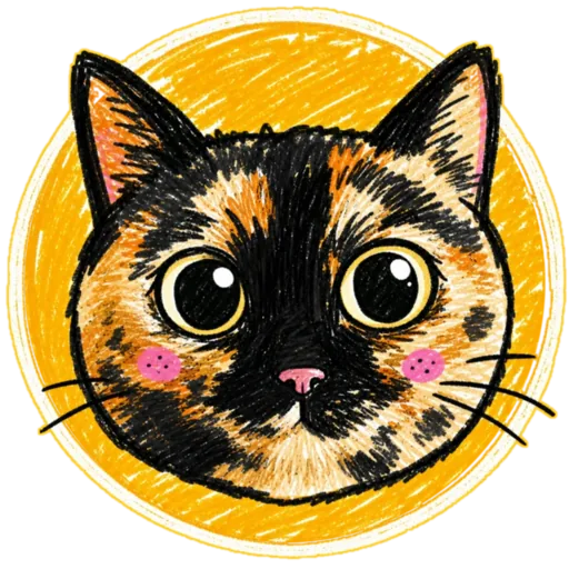 JP the cat